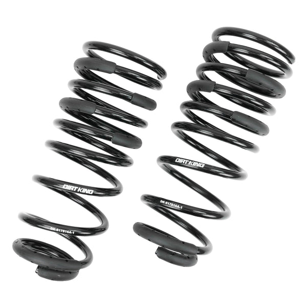 +1" Rear Springs